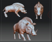 Risen 3D Model Warthog
